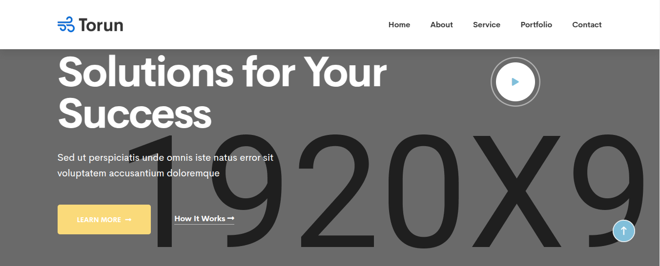 Agency Website